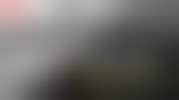 Napalm Girl : 3D reconstruction reveals the truth about the photograph