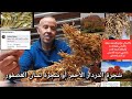 إسمها شجرة الدردار الأحمر او شجرة الناموس او شجرة لسان الغصفور فيها منافيع كتيرة للحمل والعقم