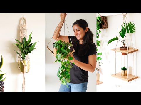 How to water Hanging Indoor Plants.