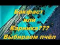 Бакфаст или Карника. Какую породу Пчёл Выбрать?