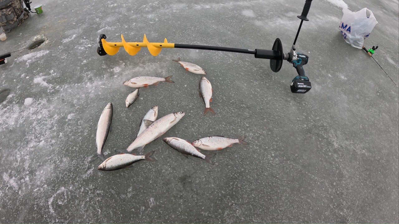 Рыбалка в Норвегии  Против масти лохавской техника безсилбна.