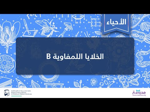 فيديو: ماذا تعني اللاحقة ASE في علم الأحياء؟