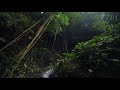 بدون عنوان افضل عشر دقائق في حياتك من الهدوء والتركيذ Relax Music 