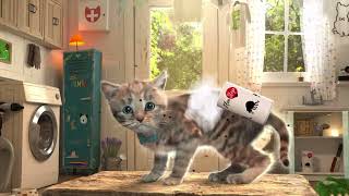 Little Kitten Adventure - My Favorite Cat Play with cute little kitten Educational game for kids