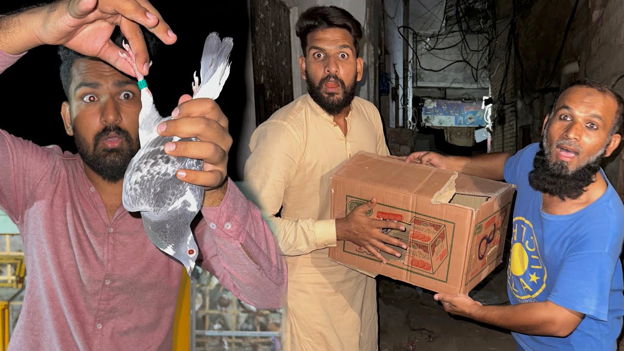 Raat Kay time 2 lakh wala racer kabootar paker liya or ya Kia hua 😳😳