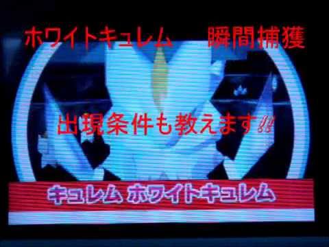 みんなのポケモンスクランブル ホワイトキュレム 瞬間捕獲 解説 Youtube