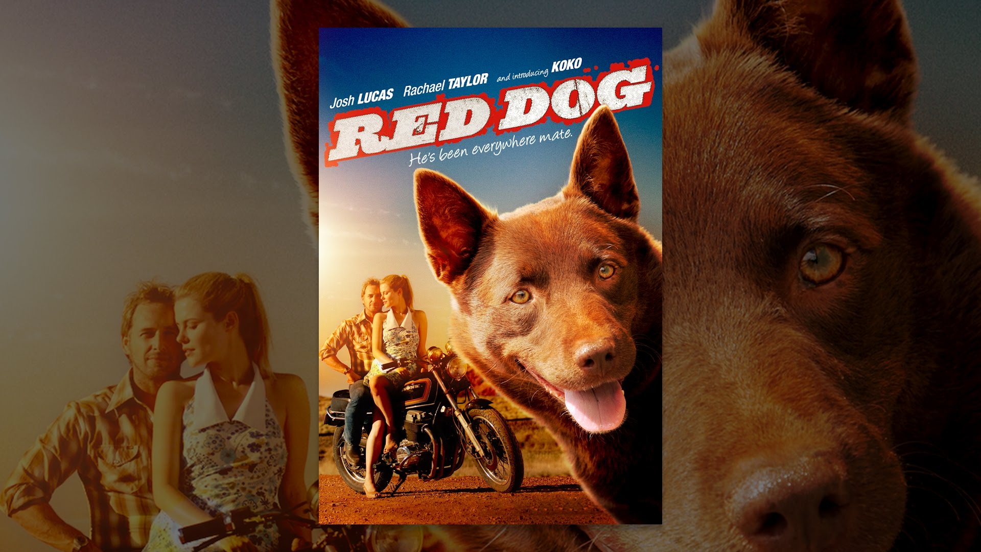 Red Dog