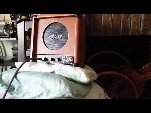 FOR SALE: PIGNOSE HG20. GUITAR -HARMONICA AMP
