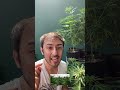 This Plant Is 28 Million Years Old! #shorts