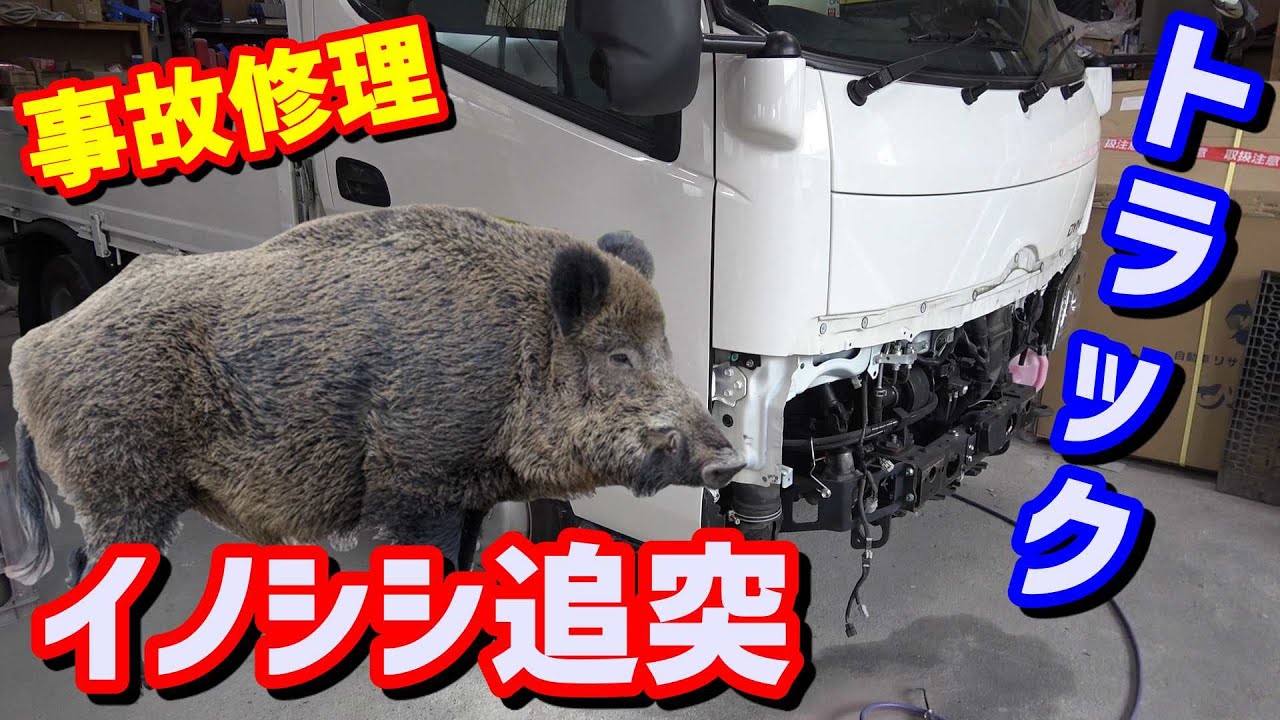 ダイナ2t イノシシ追突事故修理 板金塗装 ﾊﾞﾝﾊﾟｰ ﾗｲﾄ ｴｱｸﾘｰﾅﾎﾞｯｸｽ交換 ﾄﾞｱ鈑金 猪 Youtube