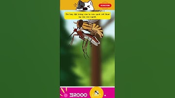 FUNNY VIDEO - Ấu trùng RUỒI BOTFLY - Những quái vật kinh dị ký sinh trên cơ thể người #funny #shorts