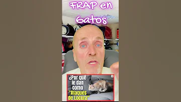 ¿Qué significa frap para los gatos?