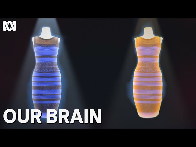 black and blue dress illusion