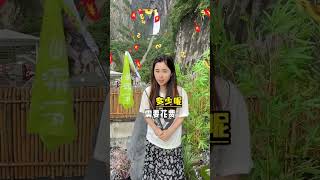 暑假来张家界，可千万别选择跟团了，行程累还玩不好，来看看我们是怎么玩的吧#张家界 #张家界旅游攻略 #张家界天门山#张家界永定文旅推荐官 #张家界国家森林公园