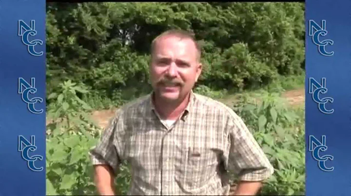 Weed Resistance: Dr. Larry Steckel