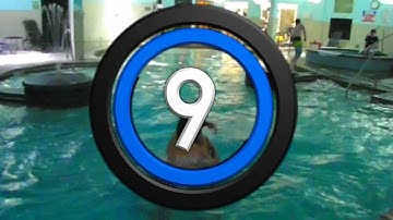 TOP 10 Swimming Pool Plays by Team Dynamic @ ESWC North American Qualifiers (Hotel Pool)