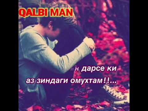 Картинка дили шикаста