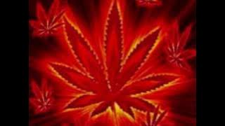 Satan Strong- Profesor Nuts