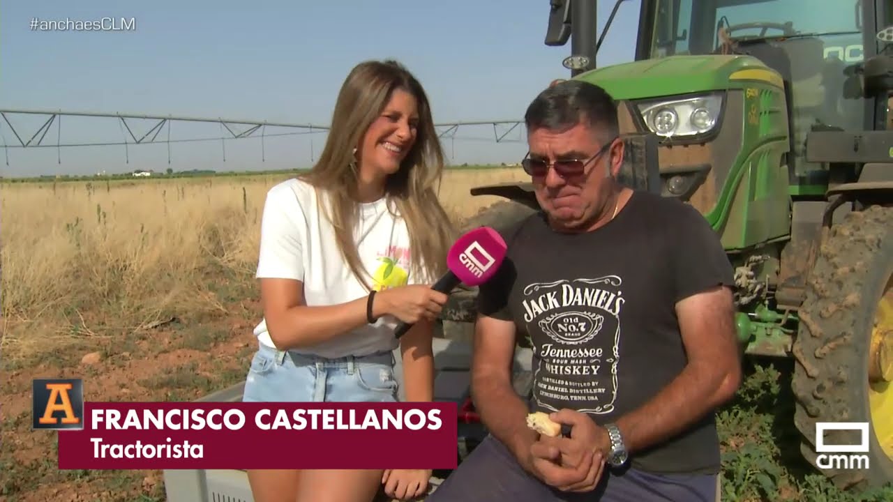 Época de recogida del ajo morado de Las Pedroñeras