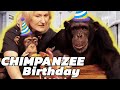 Vali The Chimp&#39;s 11th Birthday!