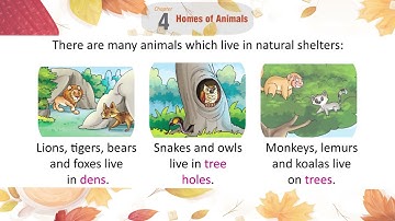 Genius Gems Book SST Class 1 Chapter 4