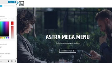 Astra Mega Menu Customizer