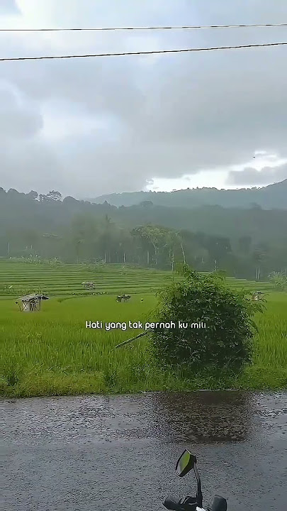 menikmati hujan di pagi hari sambil ngopi😎