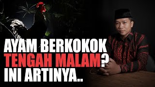 Arti Ayam Berkokok Tengah Malam Menurut Islam