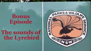 The Big Road Trip  Bonus The Sounds of the Lyrebird