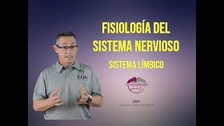 14. SISTEMA LÍMBICO