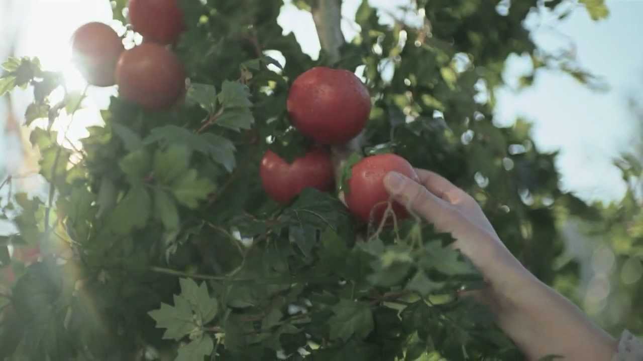 La Cocinera. Empanada - YouTube