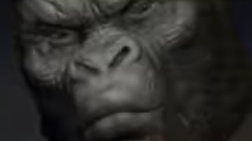 Every King Kong Movie Summarized In Low Budget but it’s only the new parts #kingkong