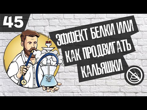 Эффект белки в маркетинге или фишки для кальянной ( Бизнес гайд №45 )