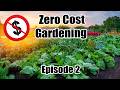GARDEN from Scratch for FREE- ZERO COST Gardening- Episode 2