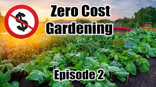 GARDEN from Scratch for FREE- ZERO COST Gardening- Episode 2 by Next Level Gardening 44,475 views 2 months ago 20 minutes