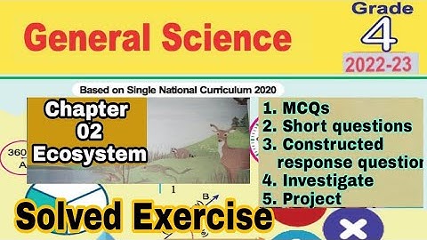 Class 4 Science Chapter 2 | Ecosystem | explanation | question answer |SNC|NBF| ilmi darasgah