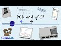 Gambar cover What is PCR and qPCR? | PCR Animation
