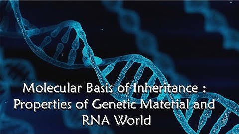 Molecular Basis of Inheritance - Properties of Genetic Material and RNA World