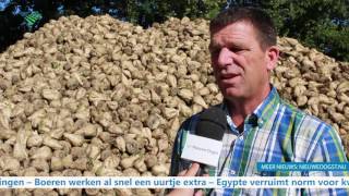 Tv Eerste Container Kalfsvlees Naar De Vs