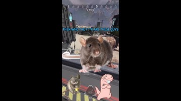 MORE THAN A RAT #shorts