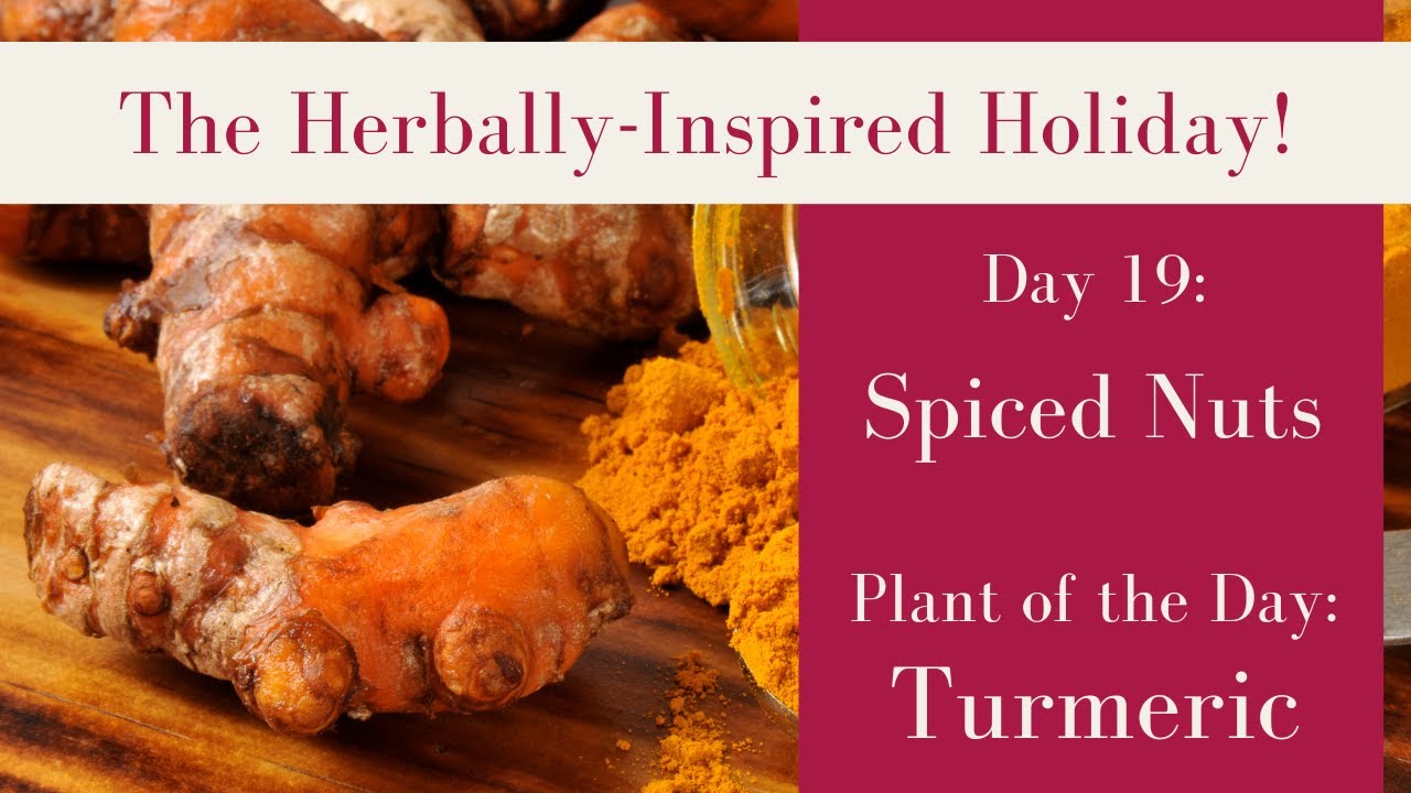Tasty Turmeric Spice Blend (w/Recipe) | Crispy Nuts |Herbal Holiday Day 19