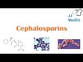 Cephalosporin Antibiotics: 1st to 5th Generation, Mechanism, Side Effects, and Bacterial Targets