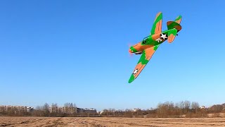 Curtiss P-40 Warhawk RC Plane maiden flight