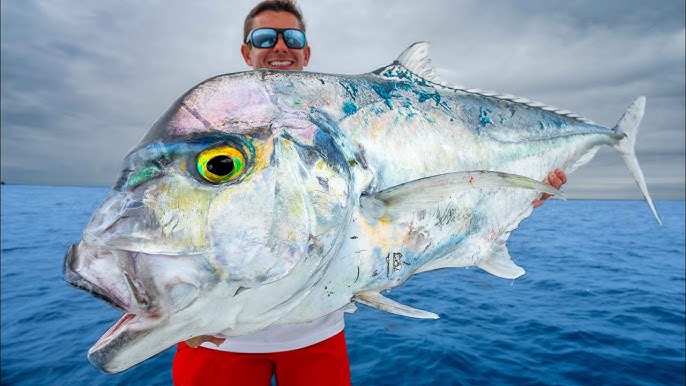 MONSTER Deep Sea Fish! Catch Clean Cook (African Pompano) 