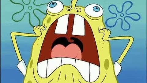 Spongebob Squarepants - Spongebob Freaks Out