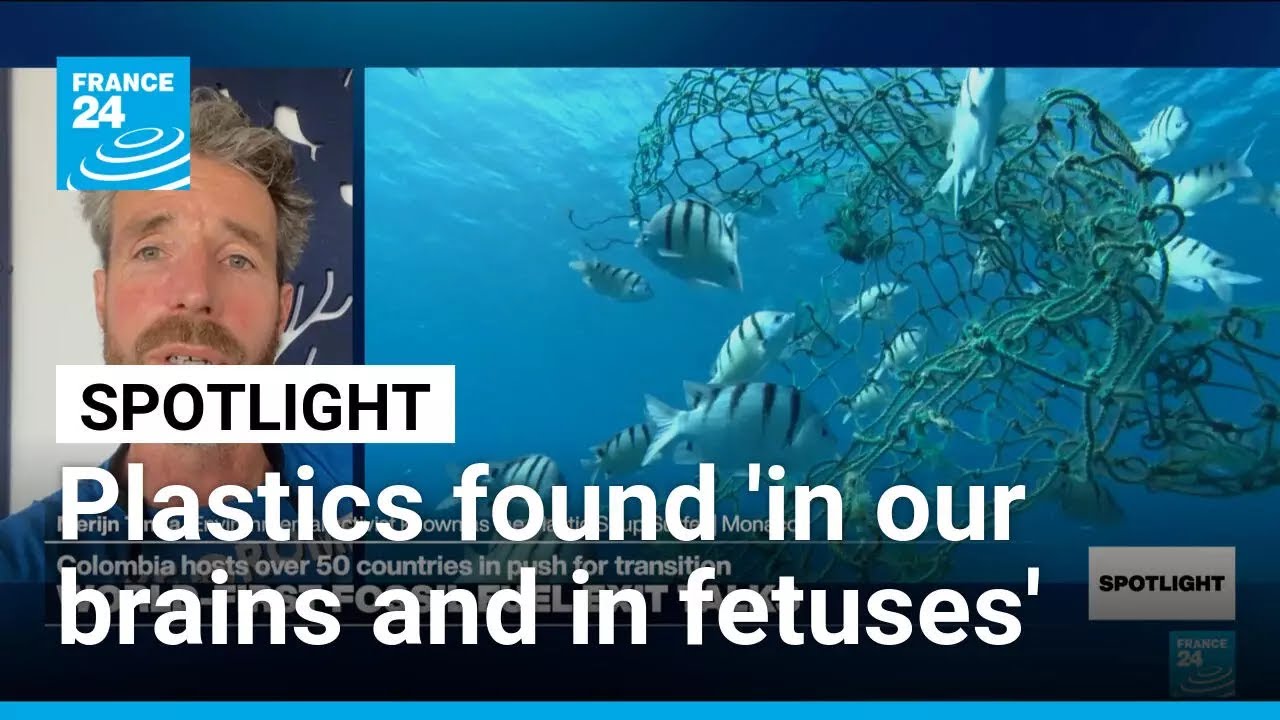 From the oceans into our bodies: Plastic pollution 'associated with obesity and dementia'