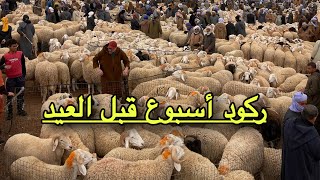 الركود يخيم على أكبر الأسواق أسبوع قبل عيد الأضحى 2026
