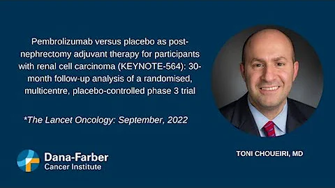 Kidney cancer research: follow-up on immunotherapy after surgery | Dana-Farber Cancer Institute