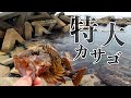 【穴釣り】ブロックの隙間から重量級の大物が釣れました