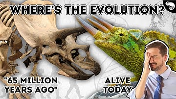 Evolutionary Biologist Reacts to Creationist Arguments